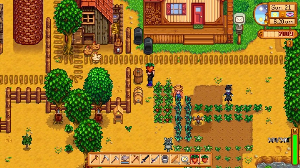 بازی Stardew Valley