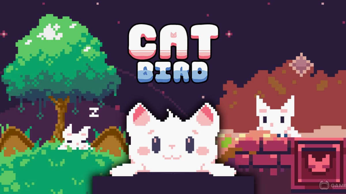 بازی Cat Bird